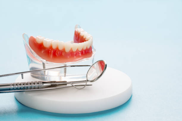 Reliable Northport, AL  Holistic Dental Services Solutions
